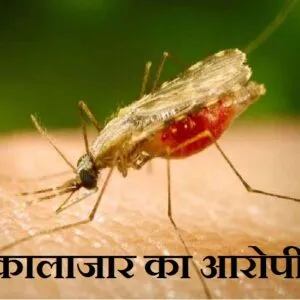 Grihjyoti | खगड़िया जिले में कालाजार से बचाव हेतु जुलाई माह में किया...
